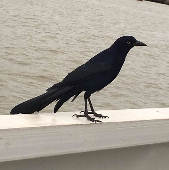 Meet your Posher, Scott - Picture 1 of 1